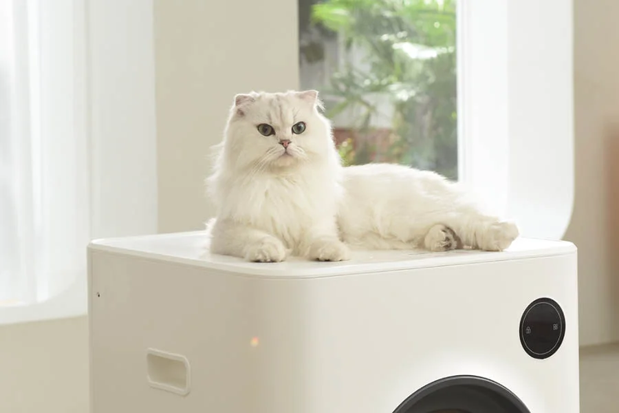 top rated litter box